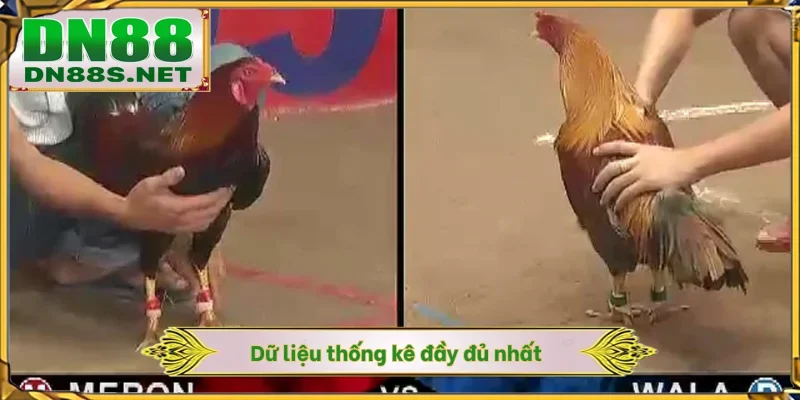 Dữ liệu thống kê đầy đủ nhất