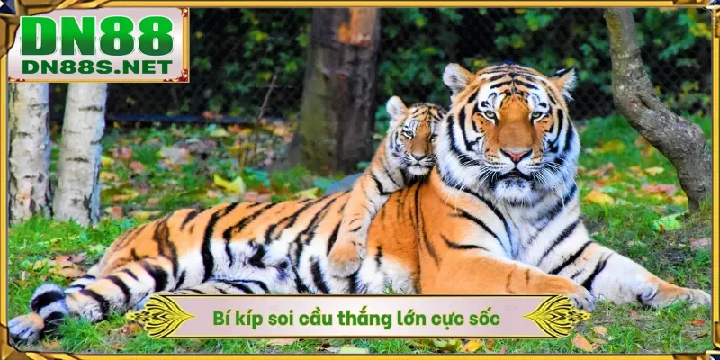 Bí kíp soi cầu thắng lớn cực sốc